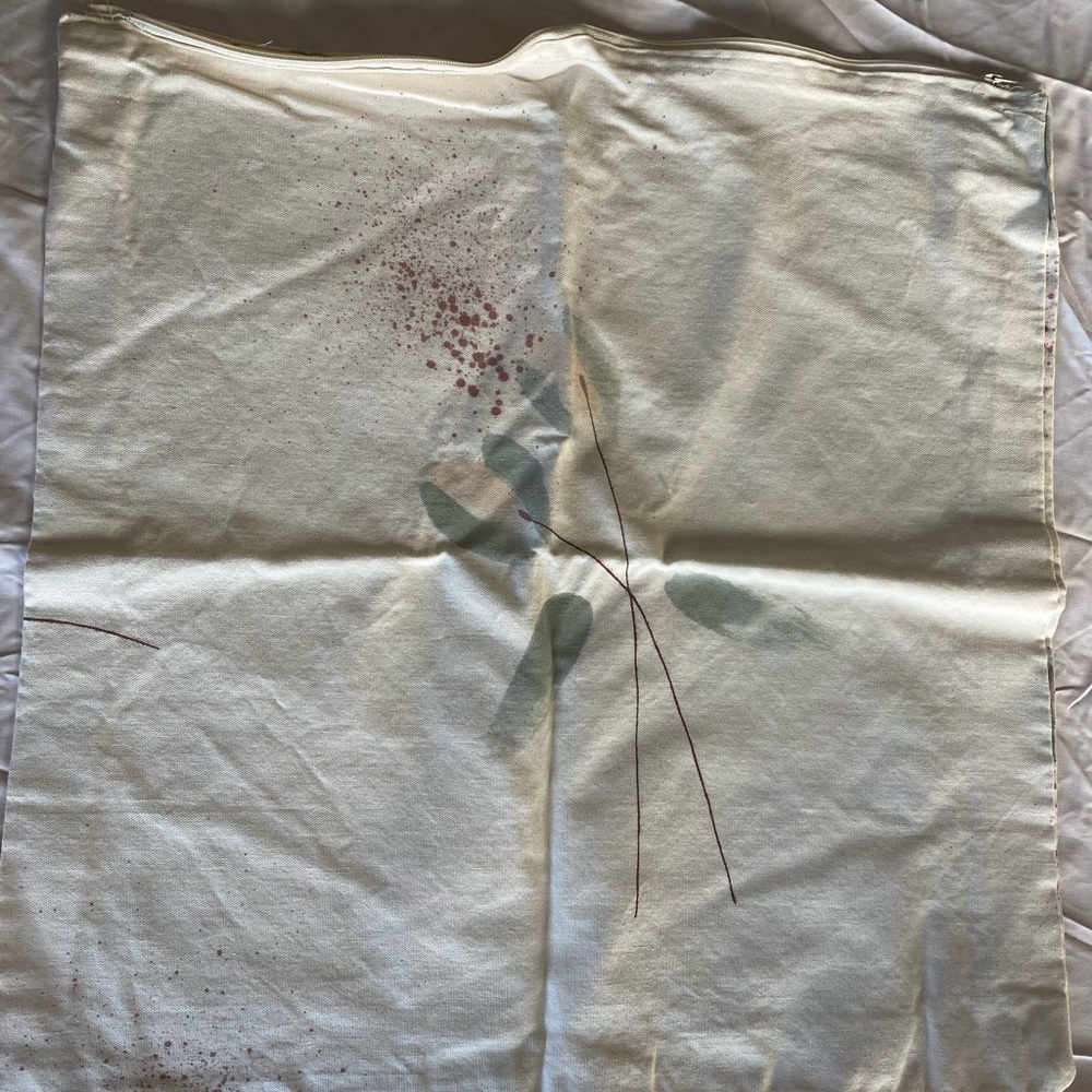 Three pillow covers cream with designs